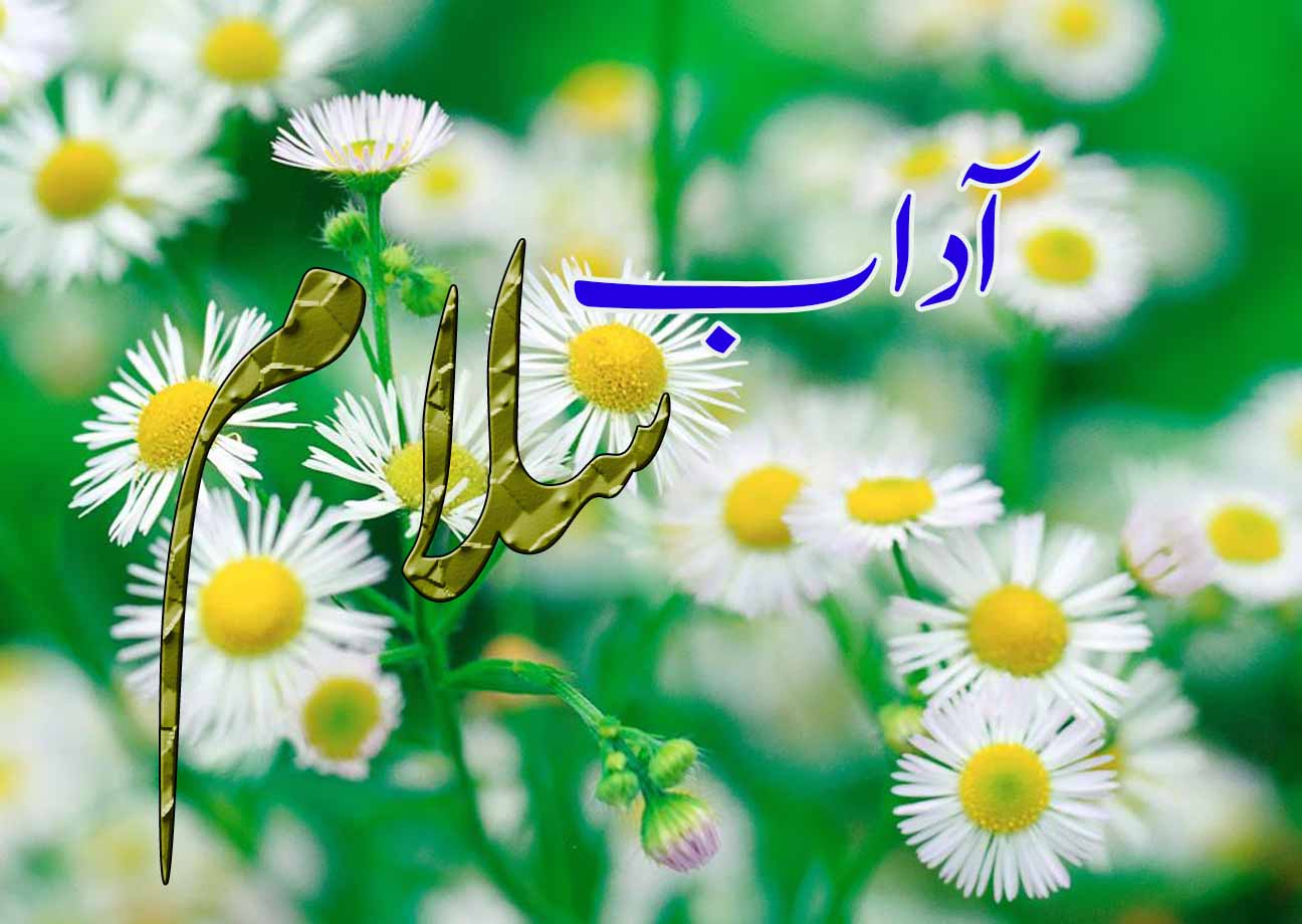 سلام کرنے کے آداب