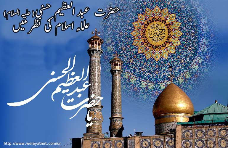 حضرت  عبد العظیم حسنی( علیہ السلام)، علماء اسلام کی نظر میں